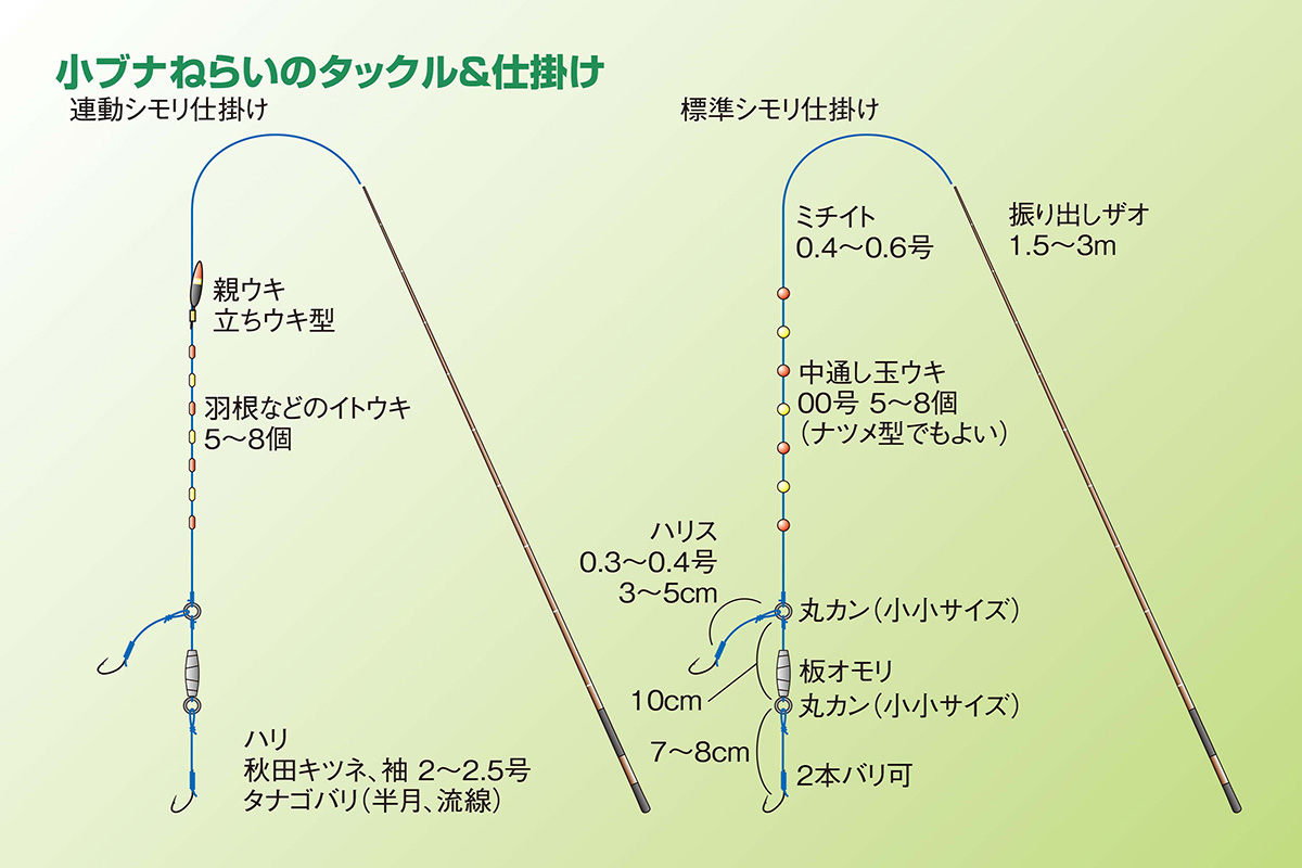茨城県/霞ヶ浦のホソで釣る！秋の小ブナ釣り入門 その1(全3回) | つり